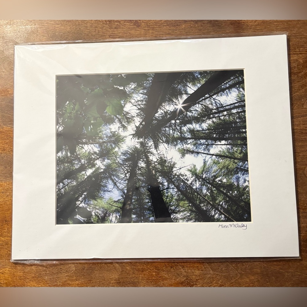 Tina McAuley "View from the Hammock" Matted Photo Print - 11x14 new